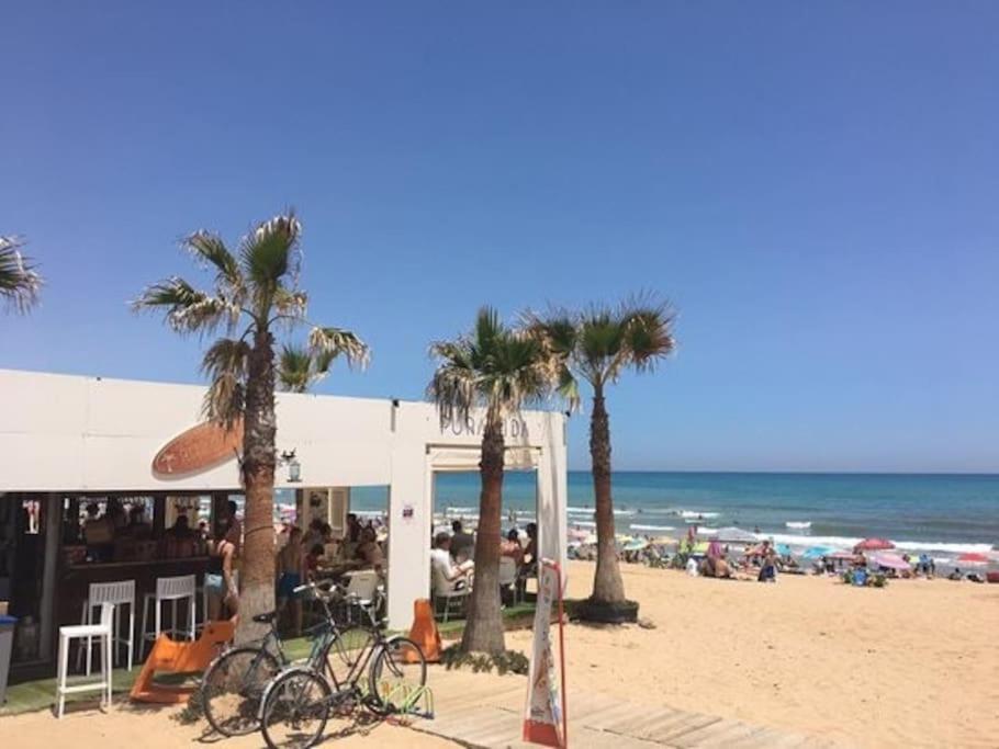 Brand New Apartment. 400 Meters Best Beach Torrevieja Exteriör bild