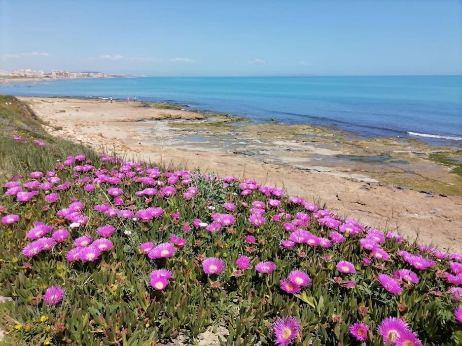 Brand New Apartment. 400 Meters Best Beach Torrevieja Exteriör bild