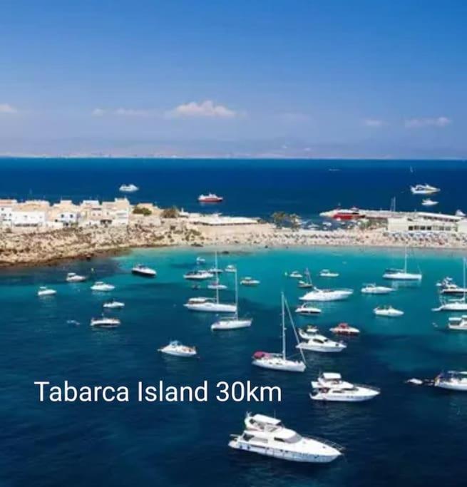 Brand New Apartment. 400 Meters Best Beach Torrevieja Exteriör bild